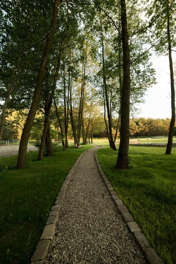 Forglamp Luksusowy namiot Bydgoszcz