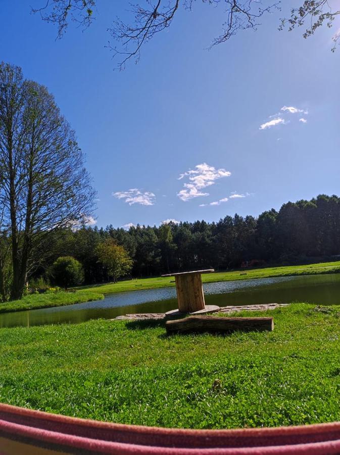 Forglamp * Bydgoszcz
